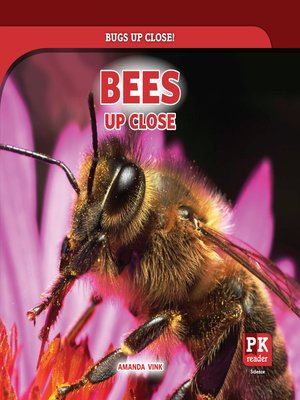 cover image of Bees Up Close